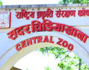 जावलाखेलस्थित सदर चिडियाखानालाई तीन करोड रुपैयाँ बराबरको घाटा_img