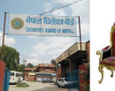 धितोपत्र बोर्डको अध्यक्षमा ४७ जनाको आवेदन_img