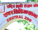 ‘बर्ड फ्लु’ सङ्क्रमण लुकाएको आरोपमा चिडियाखानाका प्रमुख साह माथि छानबिन हुने_img