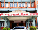 ‘डिडिसी’बाट सित्तैमा दूध-घिउ खाने व्यवस्था तत्काल रोक्न कृषिमन्त्रीको निर्देशन_img