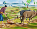 देशभर २६ लाख ४५ हजार किसान सूचीकृत_img