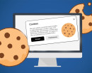 डिजिटल सुरक्षा चुनौती: कुकीज सूचना बेवास्ता गर्दा के हुन्छ ?_img