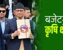 कृषि क्षेत्रको पुनरूत्थानका लागि बजेटमा के के कार्यक्रम आए ?_img