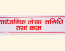 सार्बजनिक लेखा समितिसहित संसदका आठ समितिको बैठक बस्दै_img