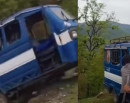टेम्पो भीरबाट खसालिएको घटनामा वनका १० कर्मचारी नियन्त्रणमा_img