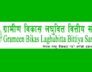 ग्रामीण विकास लघुवित्तको अध्यक्षमा डा.केसी चयन_img