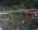 त्रिशूली नदीमा इभी भ्यान खस्दा चालक बेपत्ता_img