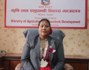 धानबालीका लागि मल अभाव हुँदैन, ९५ हजार टन मौज्दात छ : कृषिमन्त्री चौधरी_img