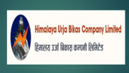हिमालयन उर्जा विकास कम्पनीको स्वतन्त्र सञ्चालकमा पाण्डे नियुक्त
