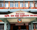 बेपत्ता कर्मचारीमाथि कारबाही एक्सन सुरू, नार्कबाट सुरुवात_img