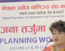 संघर्षदेखि सफलता सम्म : सुष्मा महराको व्यावसायिक यात्रा_img