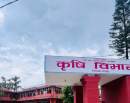 भारी वर्षा: किसानलाई सतर्कता अपनाउन विभागको आग्रह_img