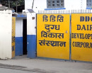 दुग्ध विकास संस्थानले किसानको भुक्तानी अवधि एक महिनामा झार्‍यो_img