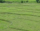 मालपोत कार्यालयमार्फत उठ्यो ५१ अर्ब ४२ करोड राजस्व_img