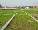 हट्यो घरजग्गा कारोबारमा बैंक स्टेटमेन्टको प्रावधान_img