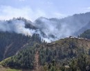 काभ्रेको गोरखनाथ वनमा लागेको डढेलो नियन्त्रण बाहिर_img