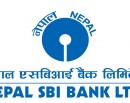 एसबिआई बैंकको नायब सीईओमा विकास आनन्द नियुक्त_img