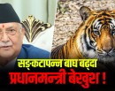प्रधानमन्त्रीज्यू, सङ्ख्या प्रकृति संरक्षक बाघको होइन, देश विनाशक भ्रष्टको घटाउनुस् !_img