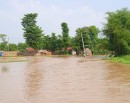माईखोलाको बाढी बस्ती पस्दा २२ घर डुबानमा_img