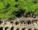 म्याग्दीमा व्यावसायिक अरिङ्गालपालन सुरू_img