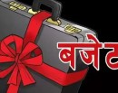 अहिलेसम्म कति स्थानीय तहले बुझाए बजेट विवरण ?_img