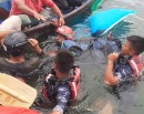 पोखरामा दुईवटा प्याराग्लाइडिङ फेवातालमा खस्याे_img