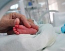 अमेरिकामा प्रजनन दर अहिलेसम्मकै कम_img