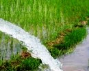 पर्सामा डिपबोरिङ खन्दा विपद् व्यवस्थापन समितिसँग अनुमति लिनुपर्ने (कारणसहित)_img