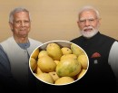 बङ्गलादेशको ‘आँप कूटनीति’ : मोदीलाई पठायो एक हजार किलो उपहार_img
