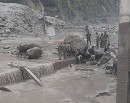 रसुवा बाढीमा फसेका ५० जनाको उद्धार_img