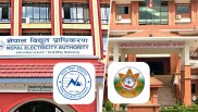 डेडिकेटेड र ट्रंकलाइनको महसुल विवादमा अख्तियार छिर्‍यो, विद्युत् प्राधिकरणलाई दियो कडा निर्देशन