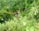 हलेसीबाट तिर्थालु बोकेर फर्किँदै गरेको विङ्गर दुर्घटनाग्रस्त_img