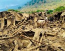 अफगानिस्तानको भूकम्पमा मृत्यु हुनेको सङ्ख्या ८०० नाघ्यो_img