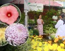 फूल व्यापारको उत्कृष्ट सङ्गम ‘गोदावरी पुष्प प्रर्दशनी’_img