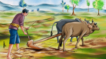 देशभर २६ लाख ४५ हजार किसान सूचीकृत
