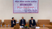 आर्थिक वृद्धिसँगै निजी क्षेत्रलाई राहत दिने रणनीति : राष्ट्र बैंक