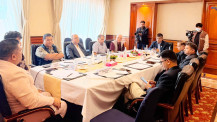 नेपालको अटोमोबाइल क्षेत्रका चुनौती र सम्भावनाबारे ‘राउन्ड टेबल’ छलफल (फोटो फिचर)