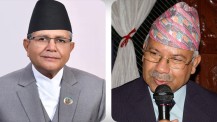 माधव नेपालको सांसद पद स्वतः निलम्बन, सभामुख घिमिरेले के गर्लान् ?