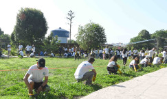 Blog single photo