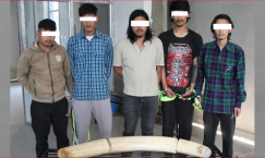 Blog single photo