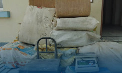 Blog single photo