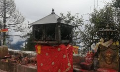 Blog single photo