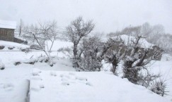 Blog single photo