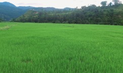 Blog single photo
