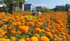 Blog single photo