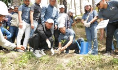 Blog single photo