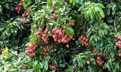 Blog single photo