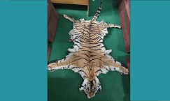 Blog single photo