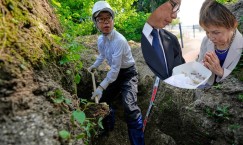 Blog single photo