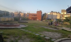 Blog single photo